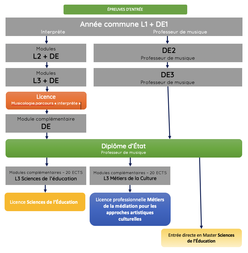 cursus-et-articulation