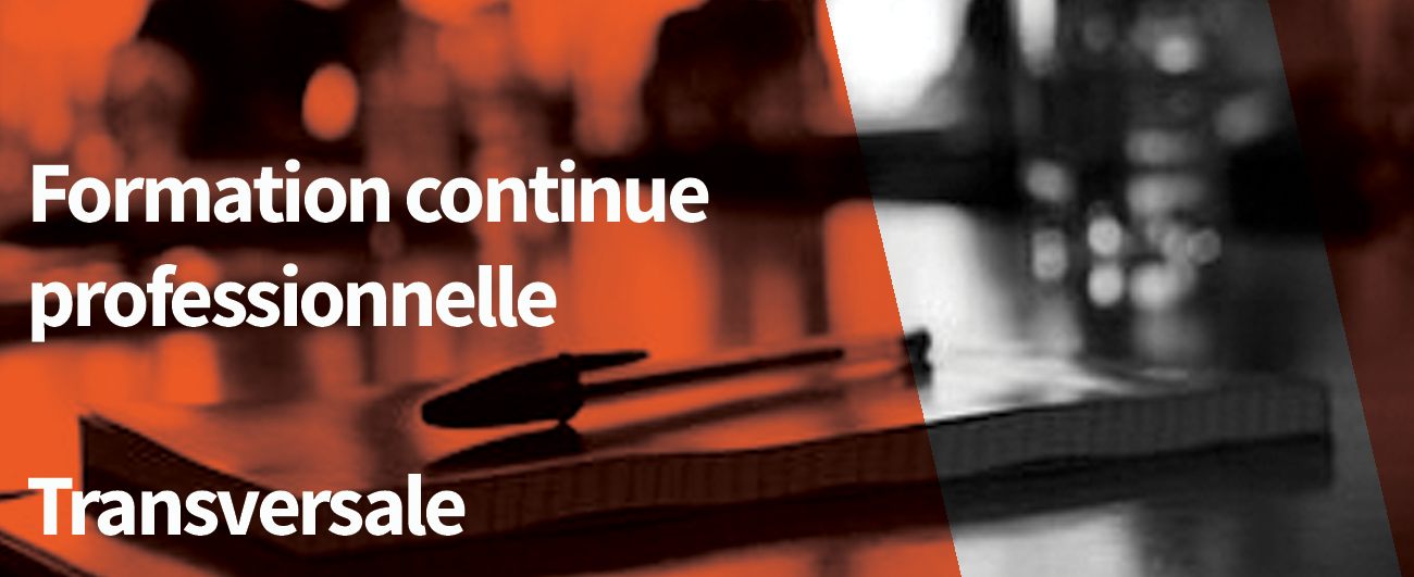 Préparation aux concours ATEA 2026 - Spécialités Musique, danse et Art dramatique 6h bleu